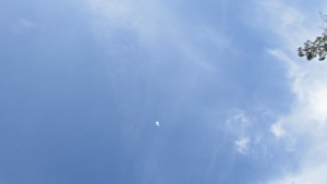 IMG_7562